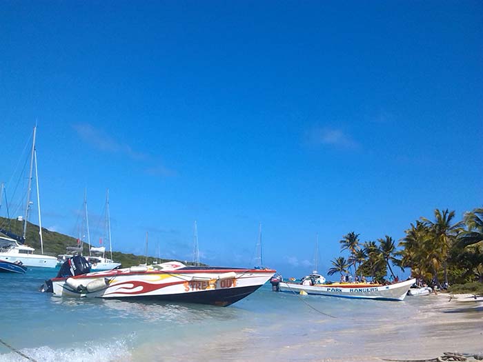 girolata-stephane-Les Grenadines, Barire de corail - ile de Mairo des Tobago Case